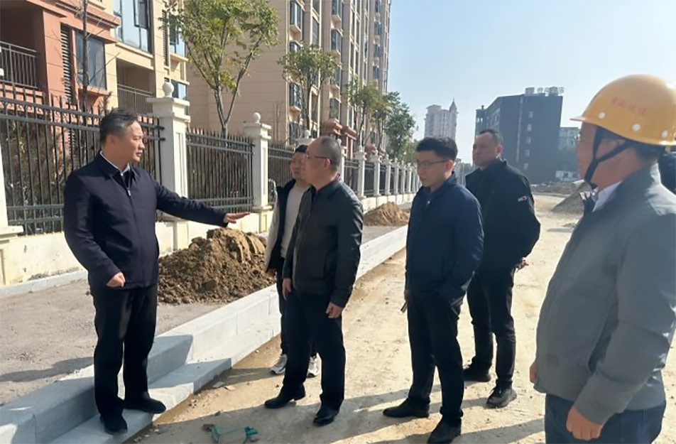 青山湖區(qū)黨委副書記、區(qū)長楊育星到利民路項(xiàng)目調(diào)研